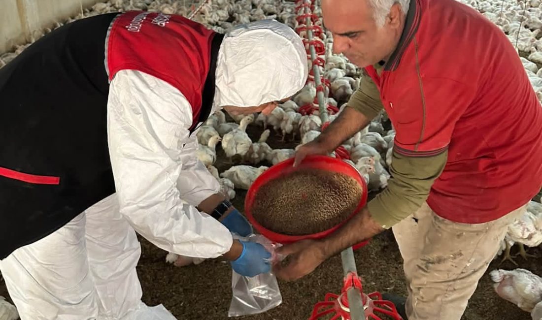 Balıkesir’de yem denetimlerinde 97 numune alındı İl genelinde yem üretimi ve kullanımına yönelik kontrollerde alınan 97