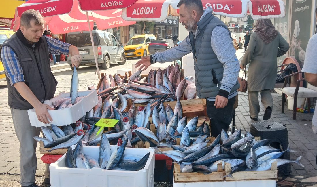 PALAMUT SOKAĞA ÇIKTI!. Palamut akını giderek çoğalınca ve fiyatı da düşünce balık hali