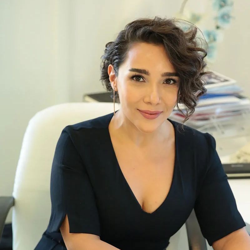 Bilge Ateş